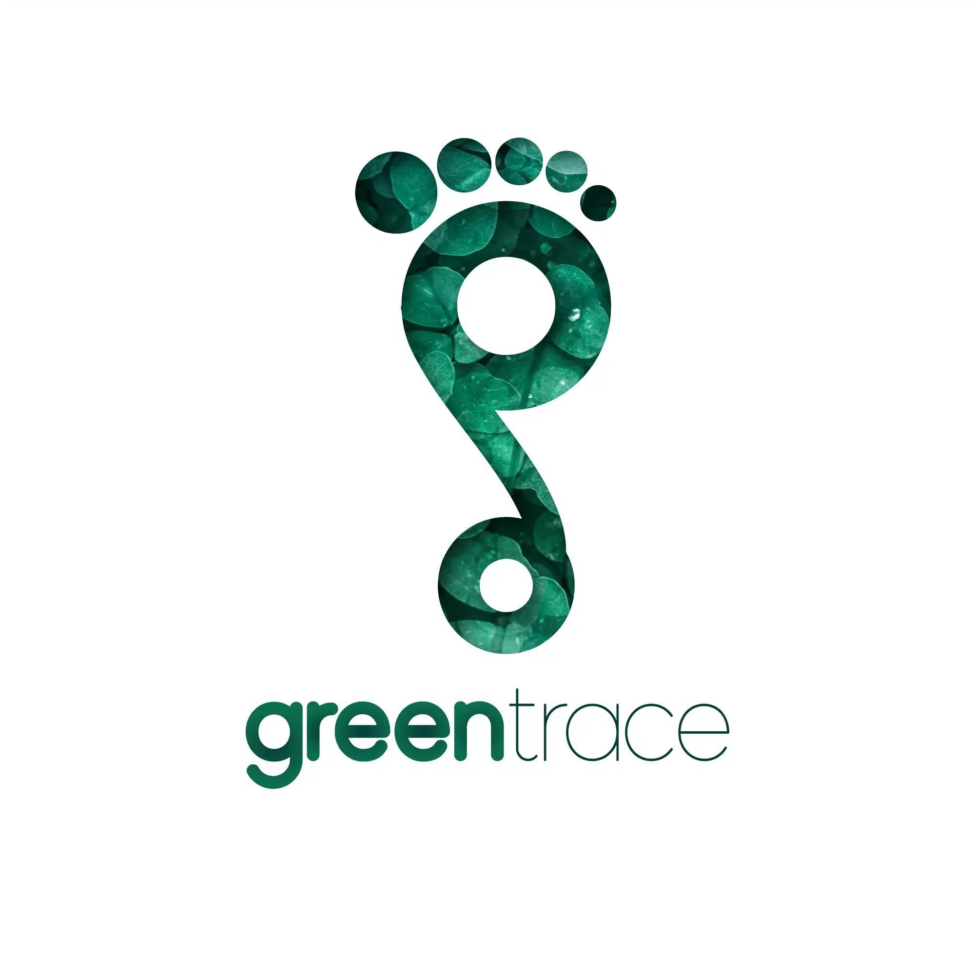 greentrace logo concept