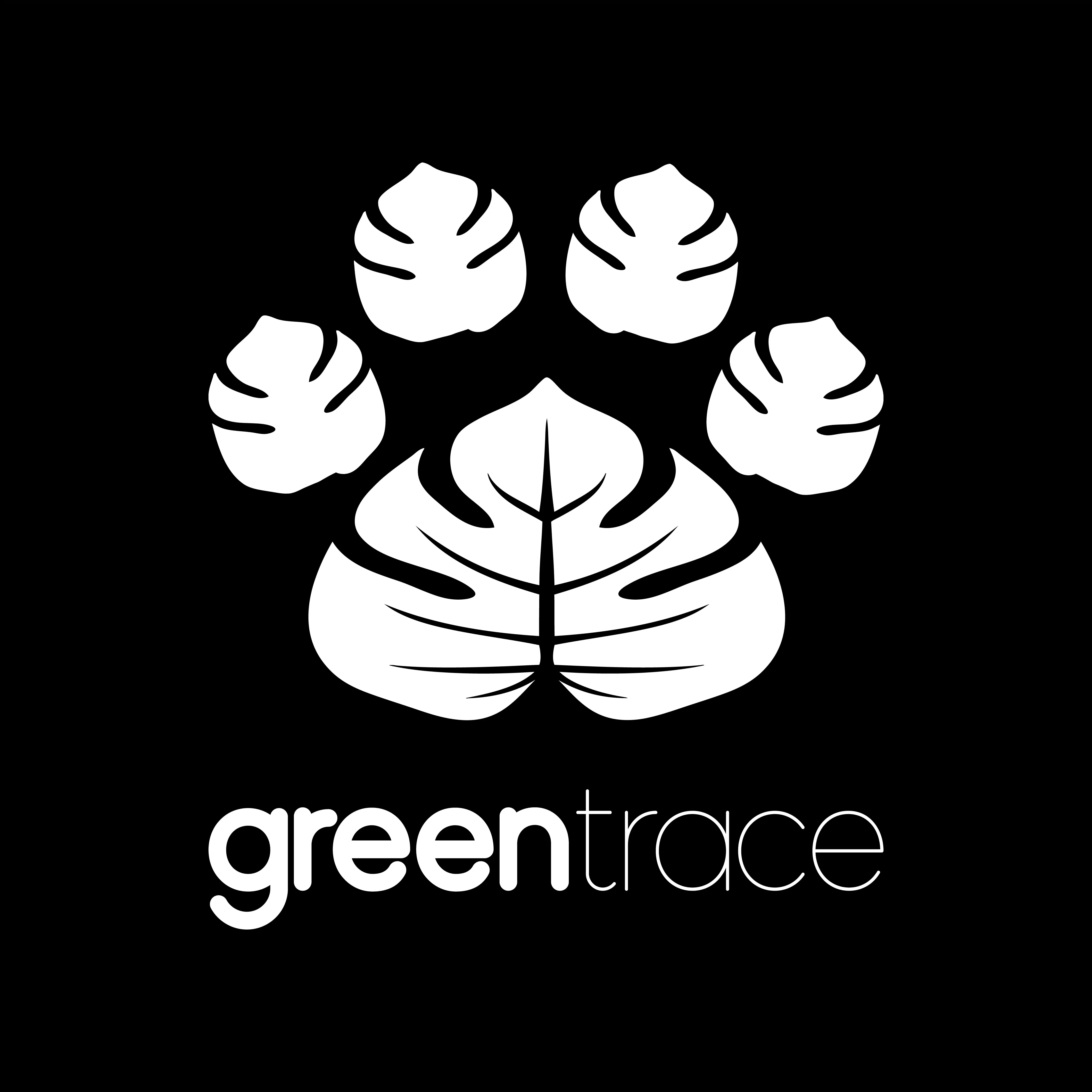 chosen greentrace logo concept